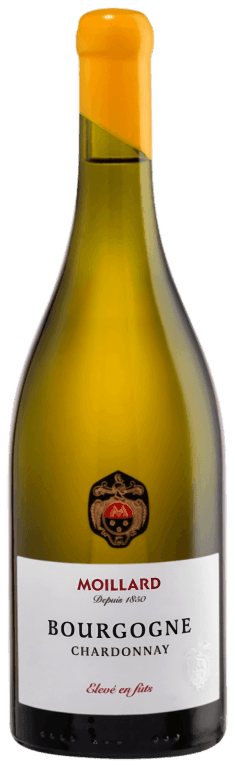 wine bottle preview image