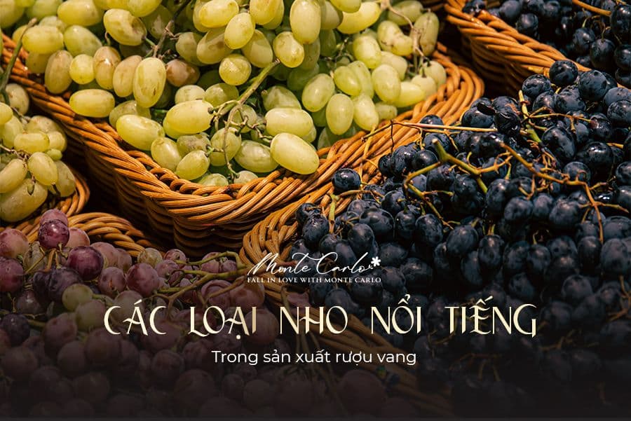 An image without an alt, whoops